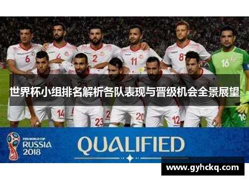 世界杯小组排名解析各队表现与晋级机会全景展望