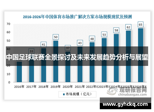 中国足球联赛全景探讨及未来发展趋势分析与展望